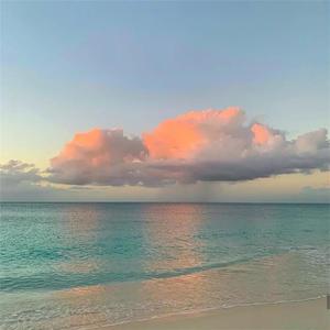 A一级试一试黄色免费视频网站
